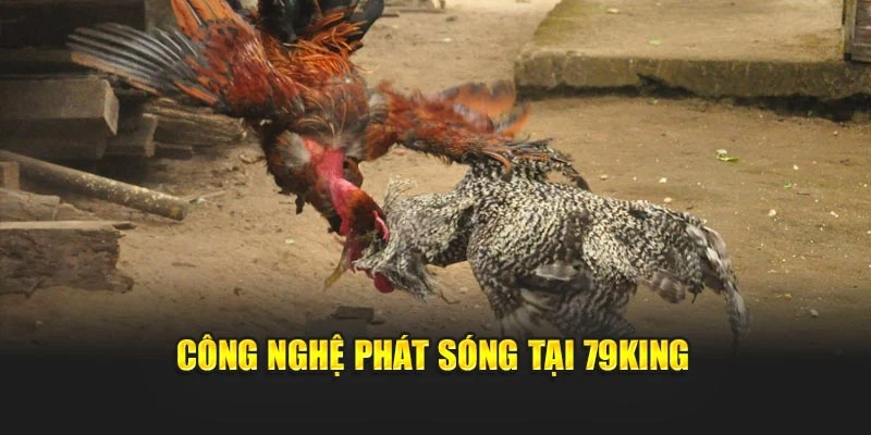 Công nghệ phát sóng tại 79KING