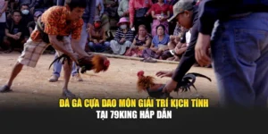 Đá Gà Cựa Dao Môn Giải Trí Kịch Tính Tại 79KING Hấp Dẫn