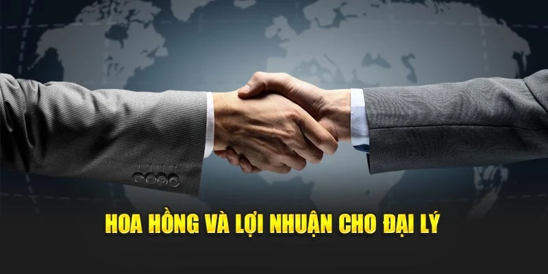 Hoa hồng và lợi nhuận cho đại lý