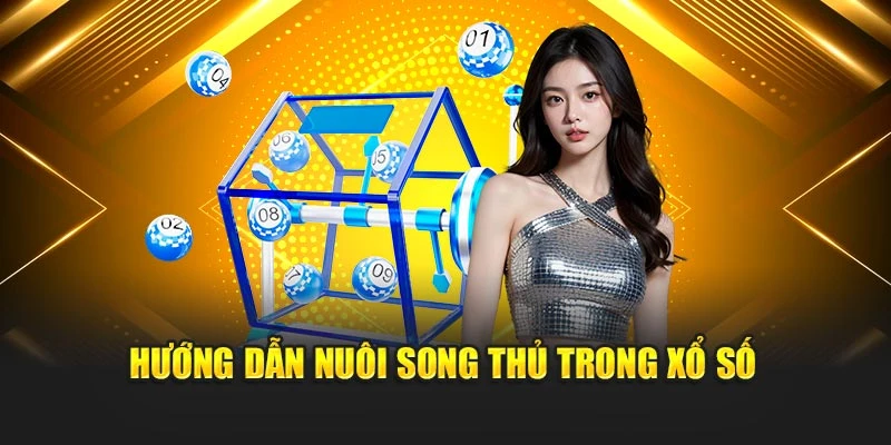 Hướng dẫn nuôi song thủ trong xổ số