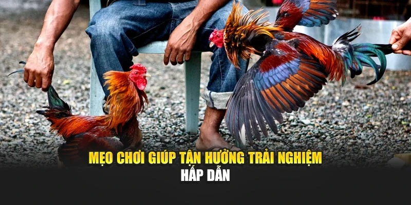 Mẹo chơi giúp tận hưởng trải nghiệm hấp dẫn