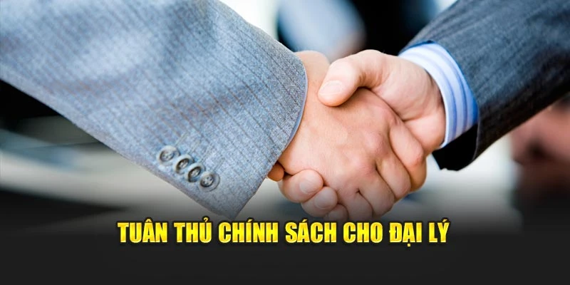 Tuân thủ chính sách cho đại lý